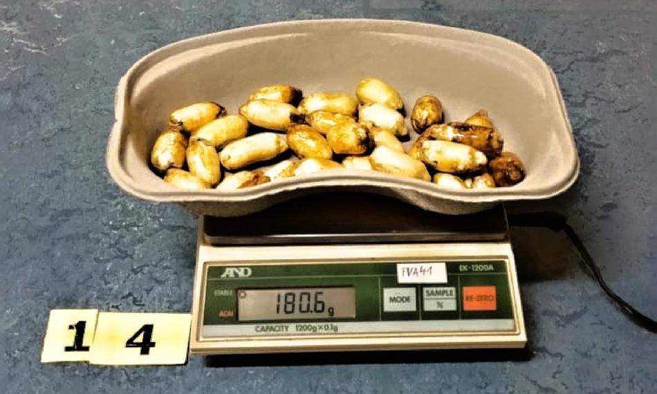 2018-7-3-849foto 2.jpg